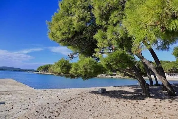 Campsite Mobile Home Pine Adria Soline Biograd Na Moru