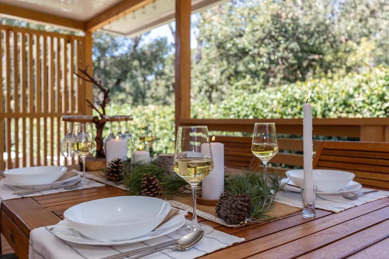 Mobile Home Pine Adria Soline Biograd Na Moru Campsite